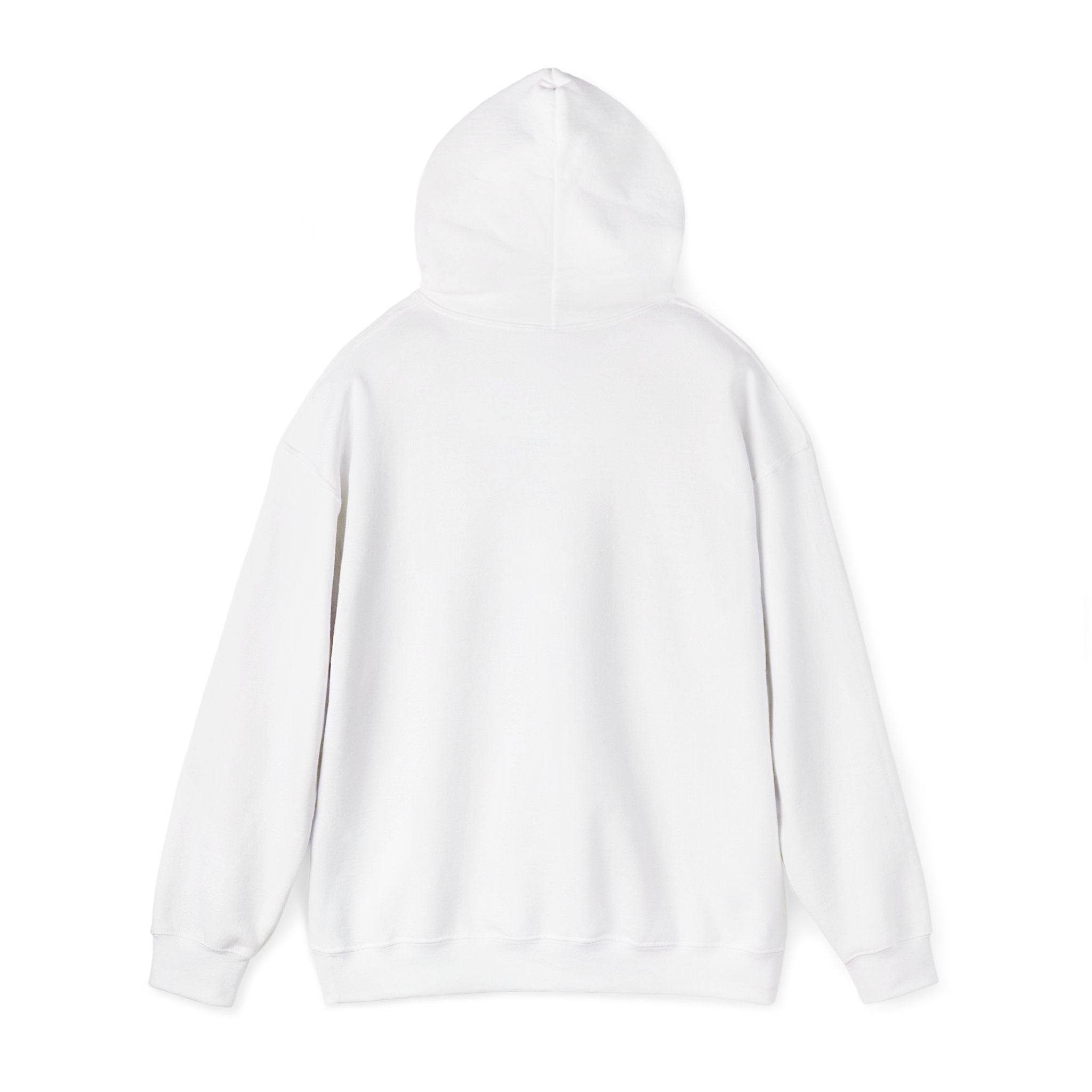DG Stylish Unisex Hooded Sweatshirt